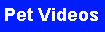 Pet Videos